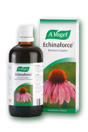 Echinaforce 50ml