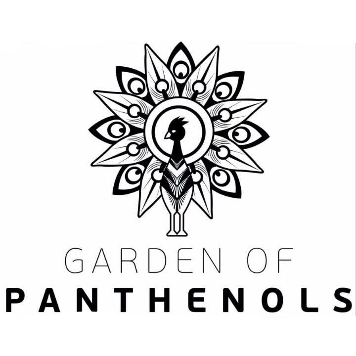 Garden of Panthenols Cleansing Black Oil Καθαριστικό Προσώπου για Λιπαρά Δέρματα με Τάση Ακμής 150ml